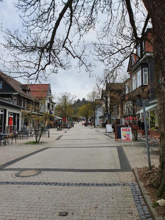 Apartment Am Bocksberg Goslar Kültér fotó